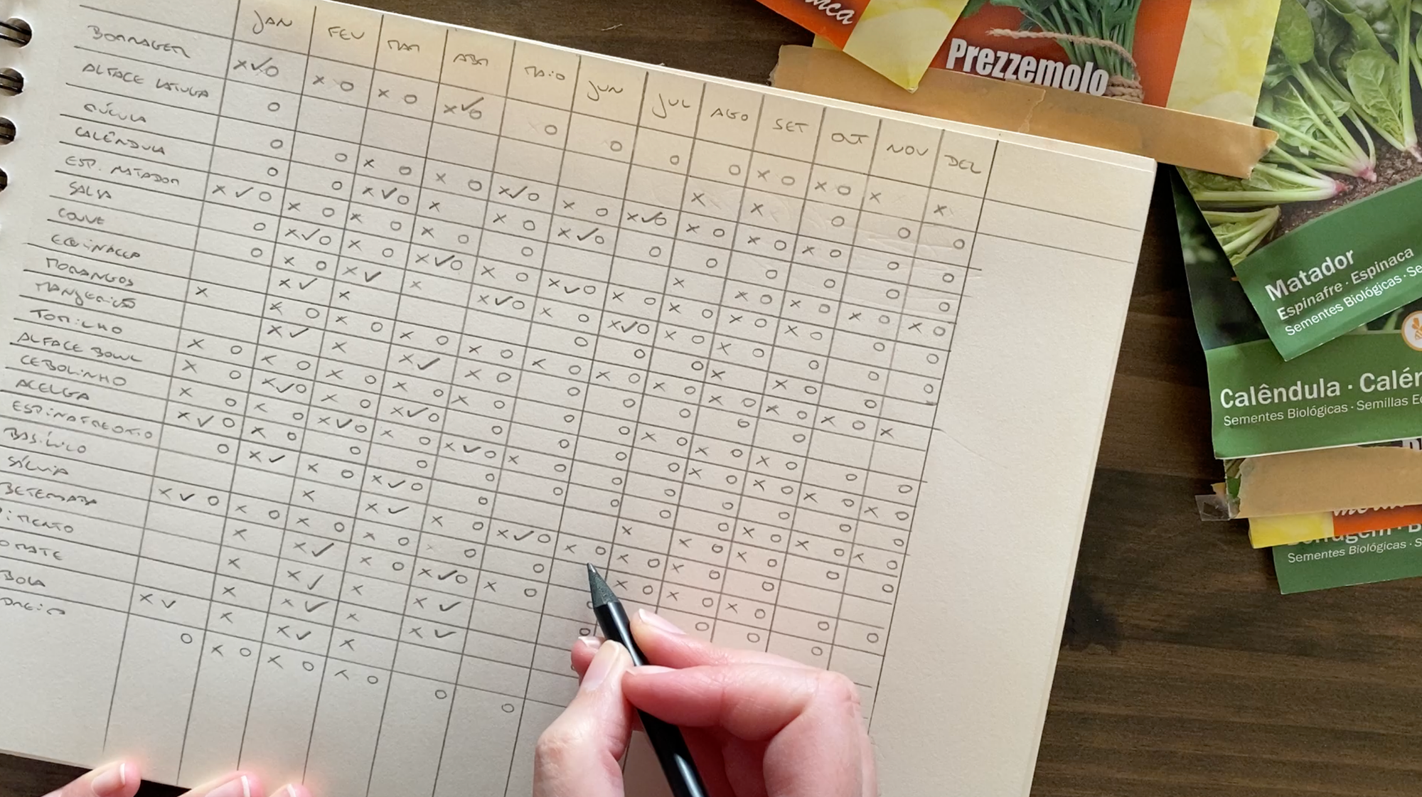 Como a criação de um plano de sementeira para todo o ano ajuda a organizar e simplificar o cultivo da sua horta e jardim