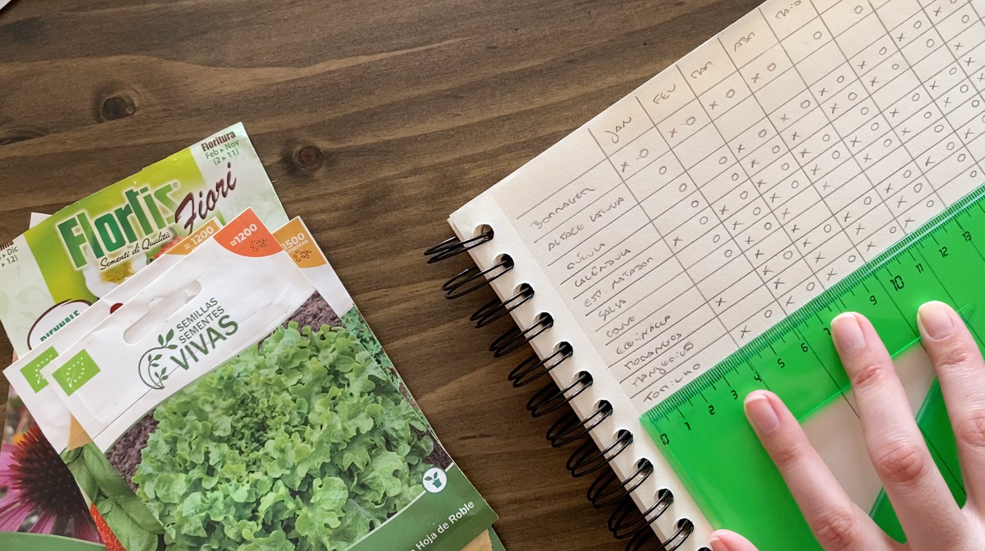 Como criar um plano de sementeira simples organizado e adequado a qualquer espaço de horta e jardim